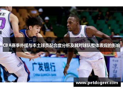CBA赛季外援与本土球员配合度分析及其对球队整体表现的影响