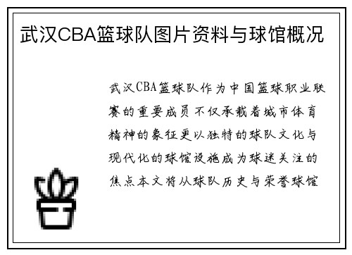 武汉CBA篮球队图片资料与球馆概况