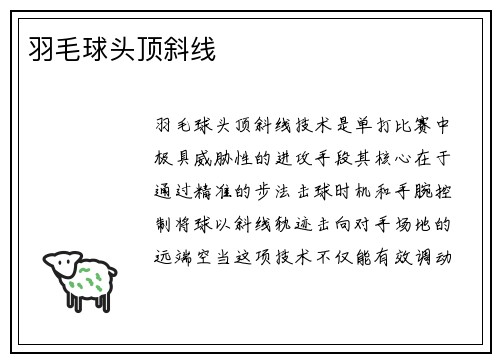 羽毛球头顶斜线